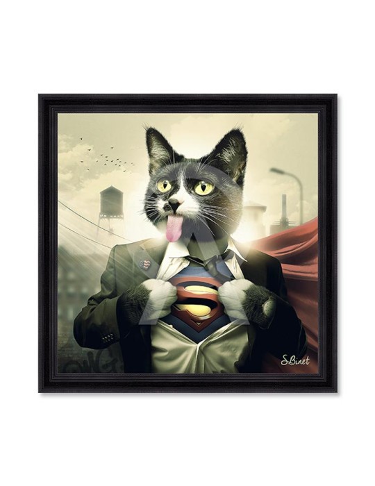 Supercat – Sylvain Binet Supercat – Sylvain Binet