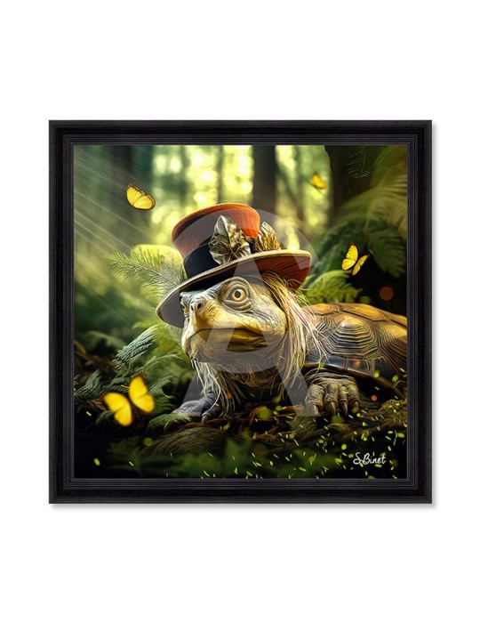 Tortue Fantastique – Sylvain Binet Tortue Fantastique – Sylvain Binet