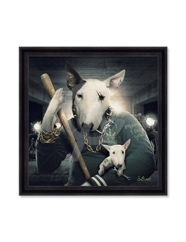Bull Terrier – Sylvain Binet