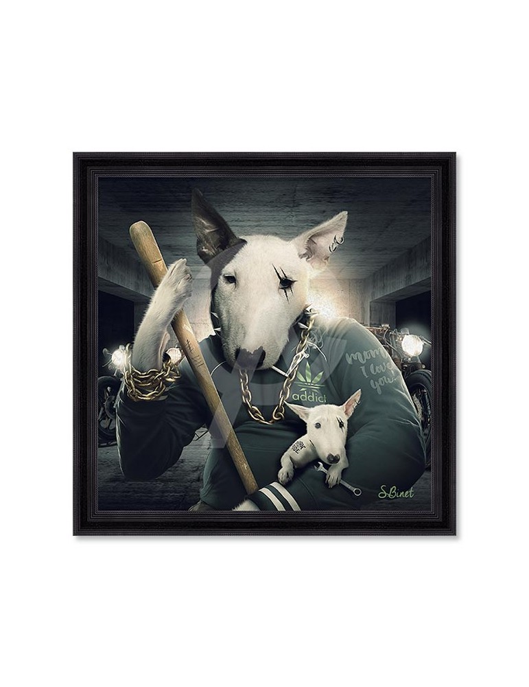 Bull Terrier – Sylvain Binet