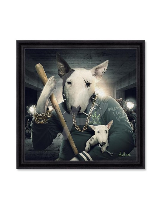 Bull Terrier – Sylvain Binet