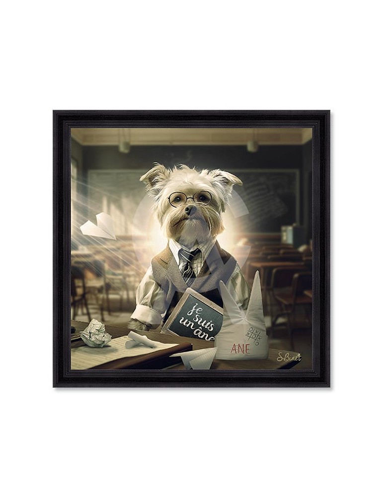 Chien Ecole – Sylvain Binet