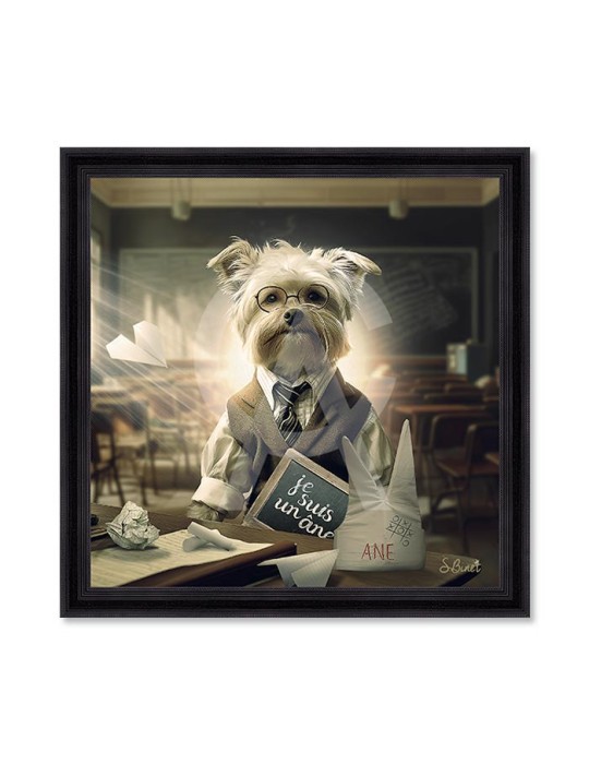 Chien Ecole – Sylvain Binet