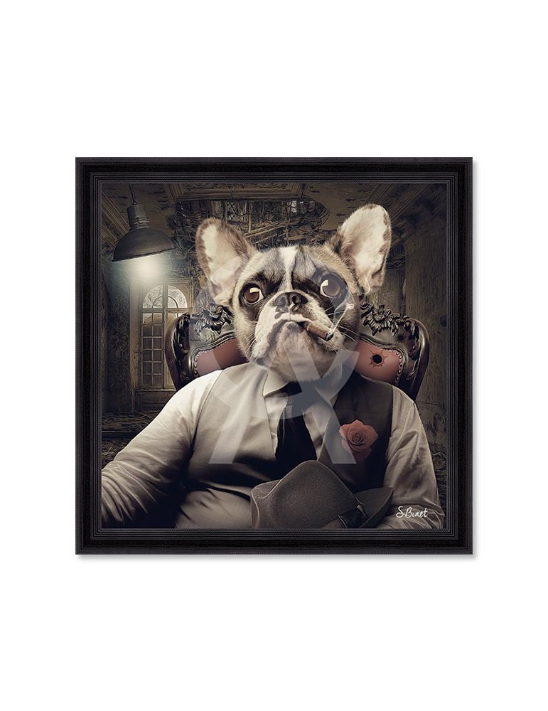 Chien Mafia – Sylvain Binet