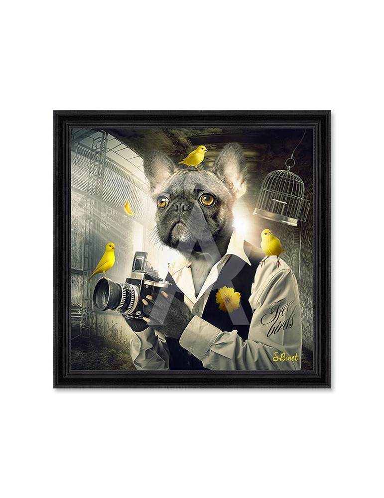 Binet Chien Photo 68x68