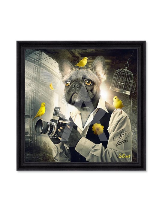 Binet Chien Photo 68x68