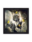 Binet Chien Photo 68x68