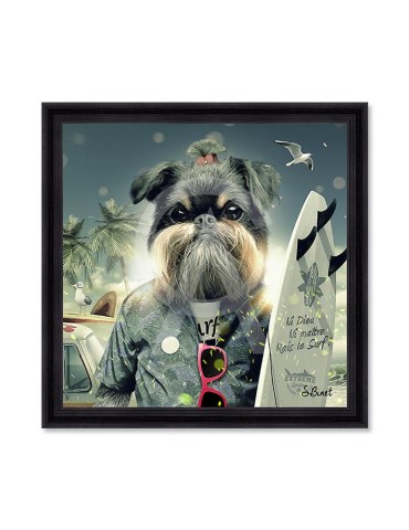 Chien Surf – Sylvain Binet