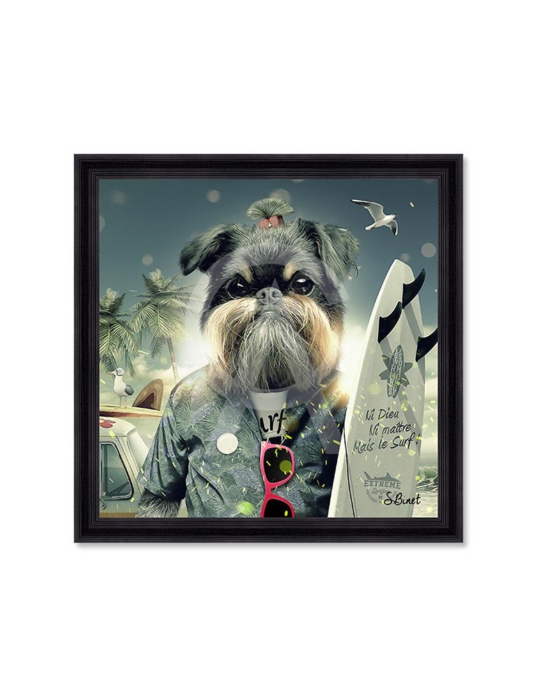 Chien Surf – Sylvain Binet