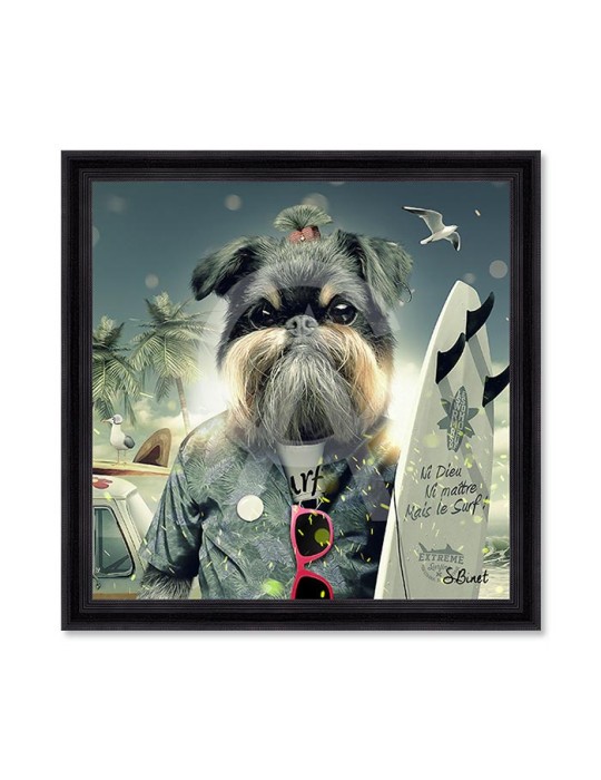 Chien Surf – Sylvain Binet