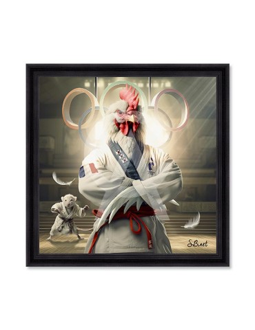 Coq Judo – Sylvain Binet