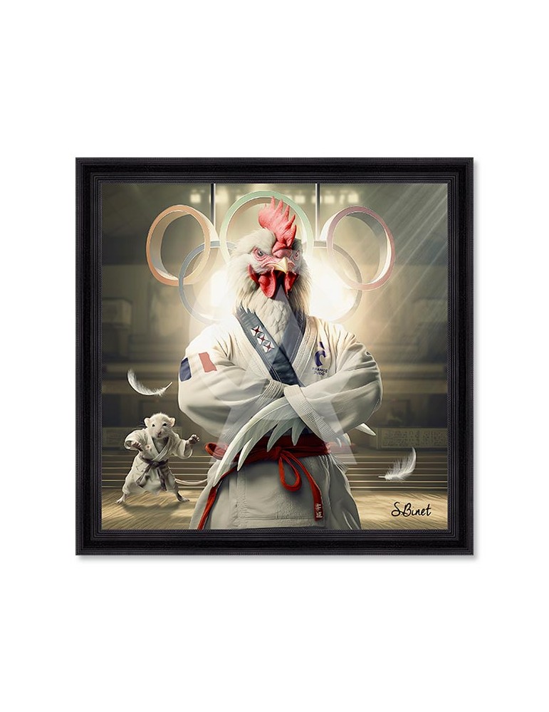 Coq Judo – Sylvain Binet