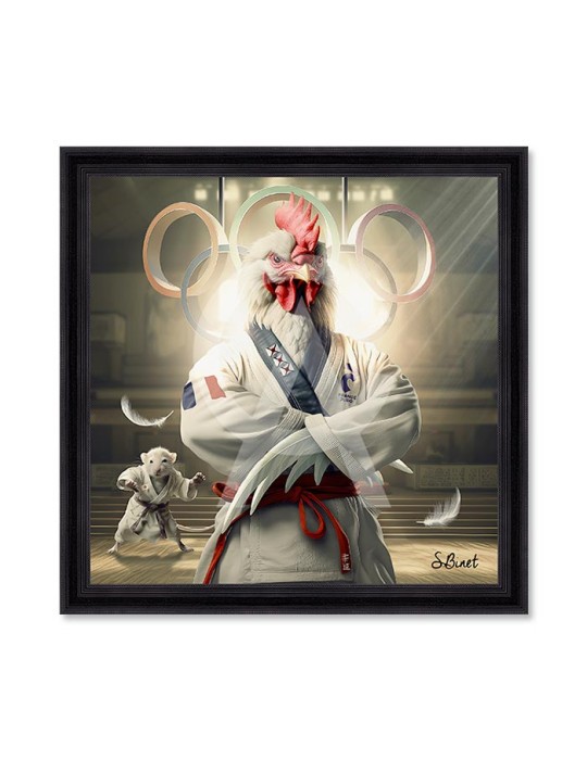 Coq Judo – Sylvain Binet
