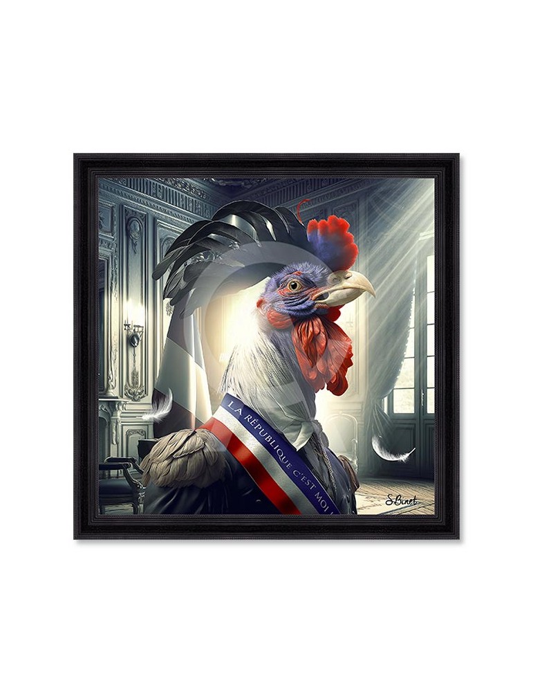 Coq président – Sylvain Binet