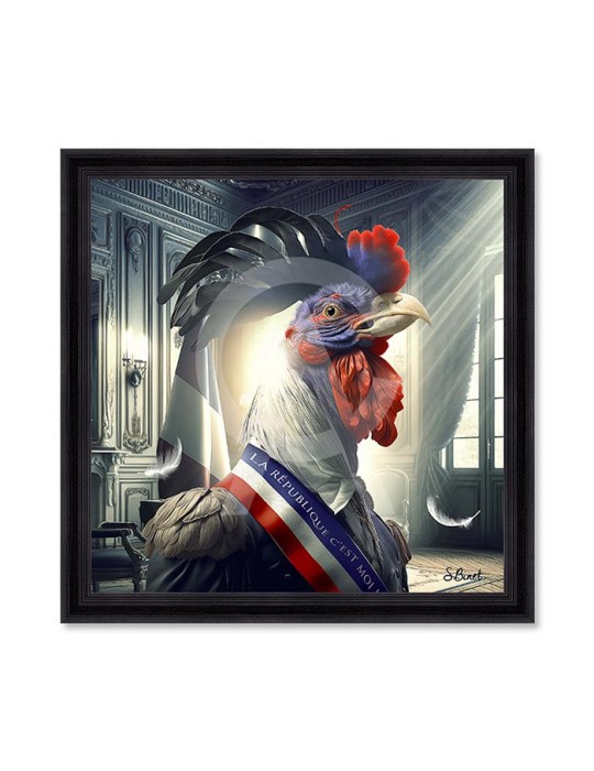 Coq président – Sylvain Binet