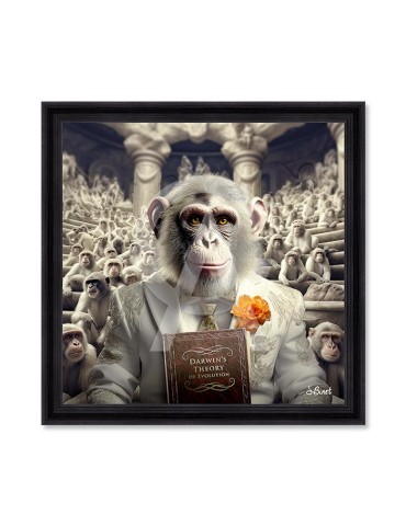 Darwin – Sylvain Binet