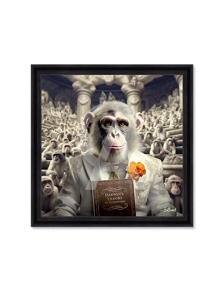 Darwin – Sylvain Binet