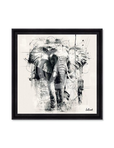 Éléphant NB – Sylvain Binet