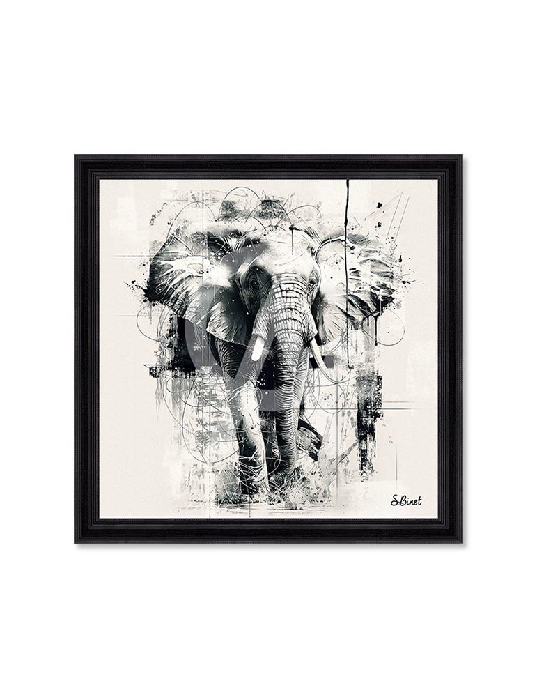 Éléphant NB – Sylvain Binet