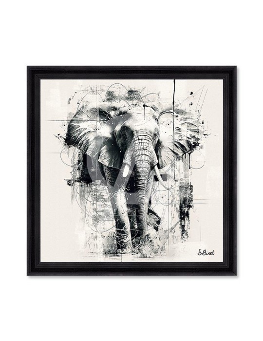 Éléphant NB – Sylvain Binet