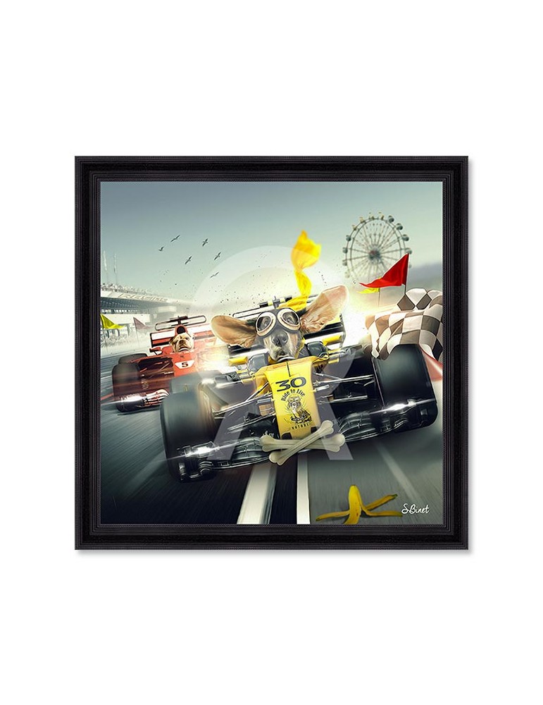 F1 – Sylvain Binet