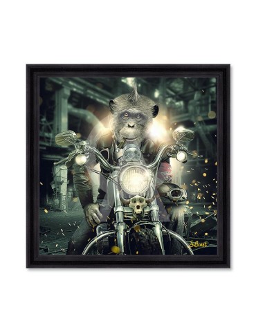 Gorille moto – Sylvain Binet