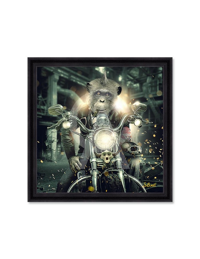 Gorille moto – Sylvain Binet