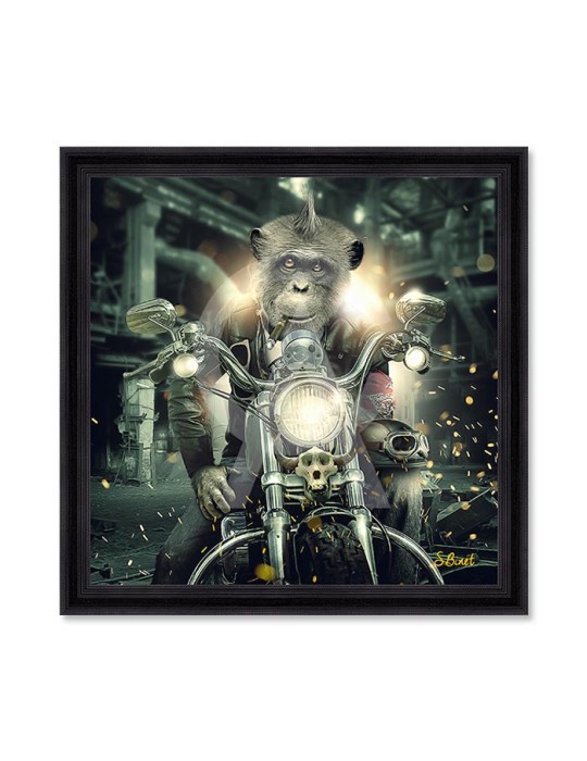 Gorille moto – Sylvain Binet