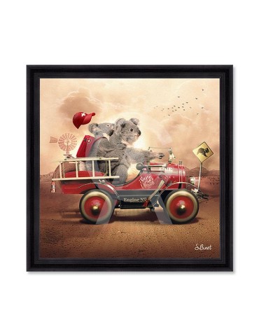 Koala – Sylvain Binet