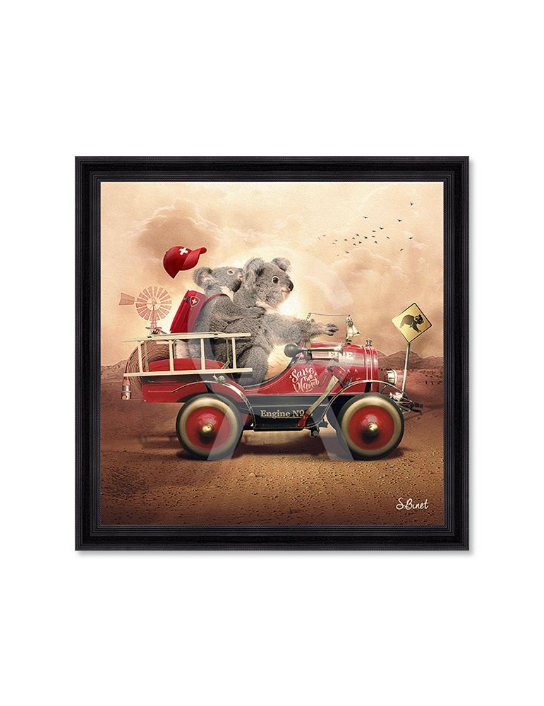 Koala – Sylvain Binet