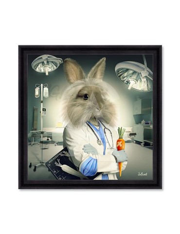 Lapin Infirmier – Sylvain Binet