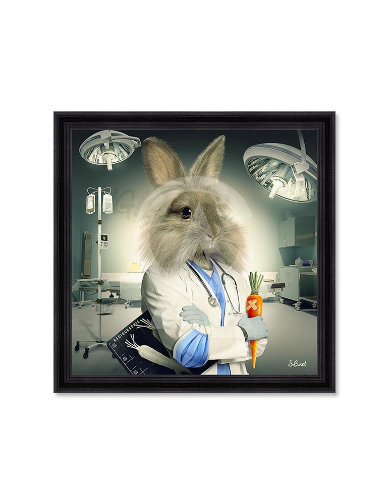 Lapin Infirmier – Sylvain Binet