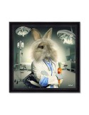 Lapin Infirmier – Sylvain Binet