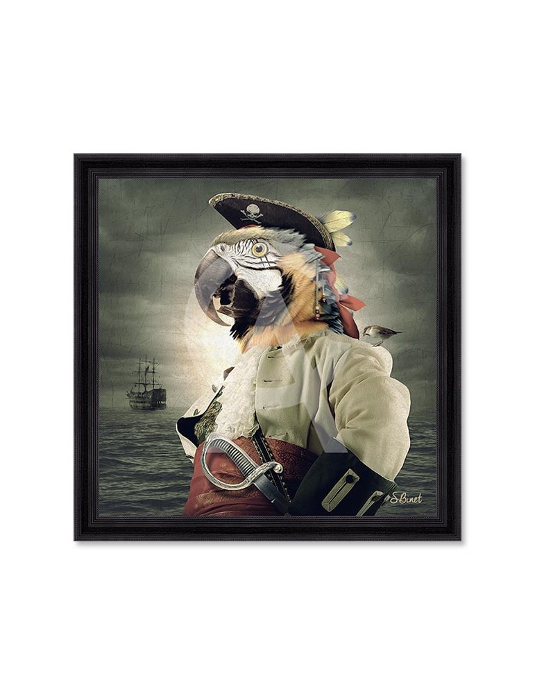 Pirate Perroquet – Sylvain Binet
