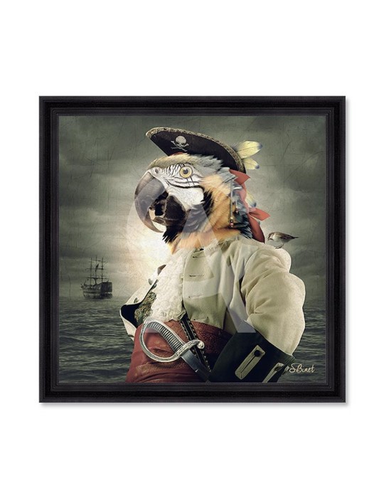 Pirate Perroquet – Sylvain Binet
