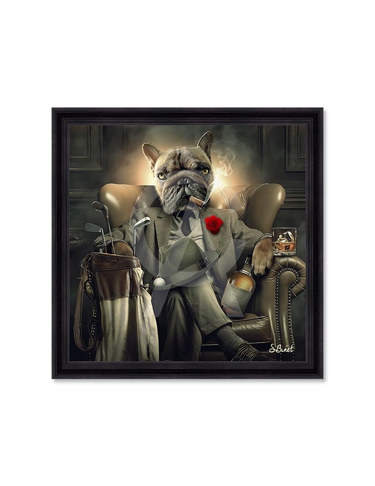 Pumba – Sylvain Binet