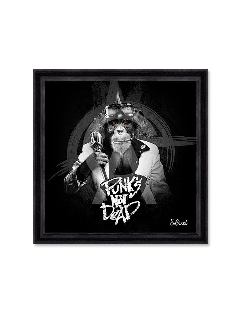 Punk's not dead – Sylvain Binet