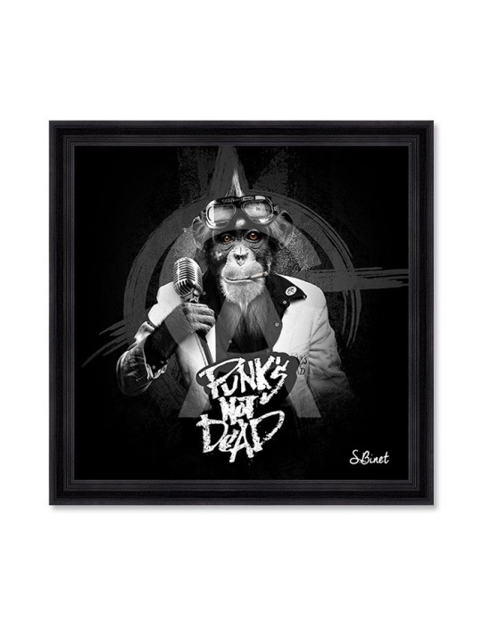 Punk's not dead – Sylvain Binet