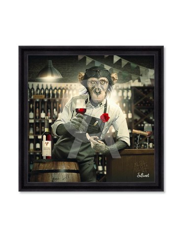 Singe caviste – Sylvain Binet