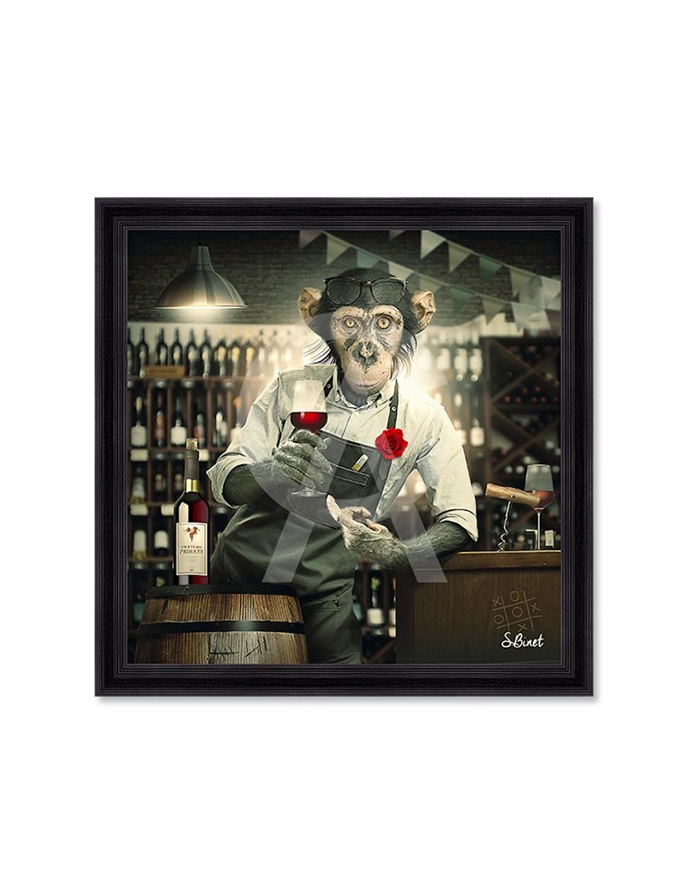 Singe caviste – Sylvain Binet Singe caviste – Sylvain Binet