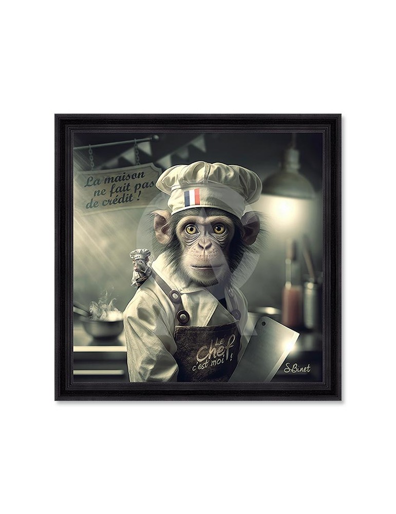 Singe Cuisto – Sylvain Binet