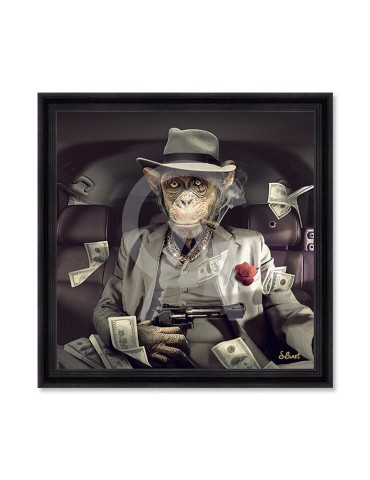 Singe Mafia – Sylvain Binet