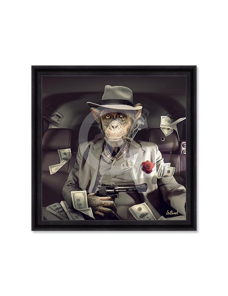 Singe Mafia – Sylvain Binet Singe Mafia – Sylvain Binet