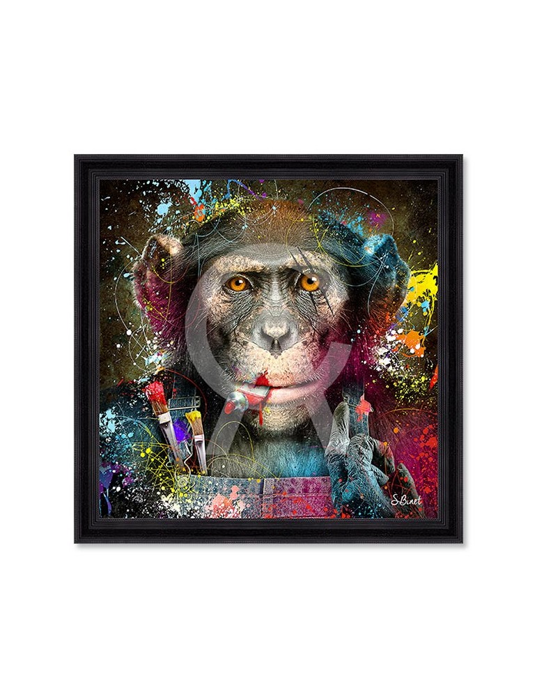 Singe Peintre – Sylvain Binet