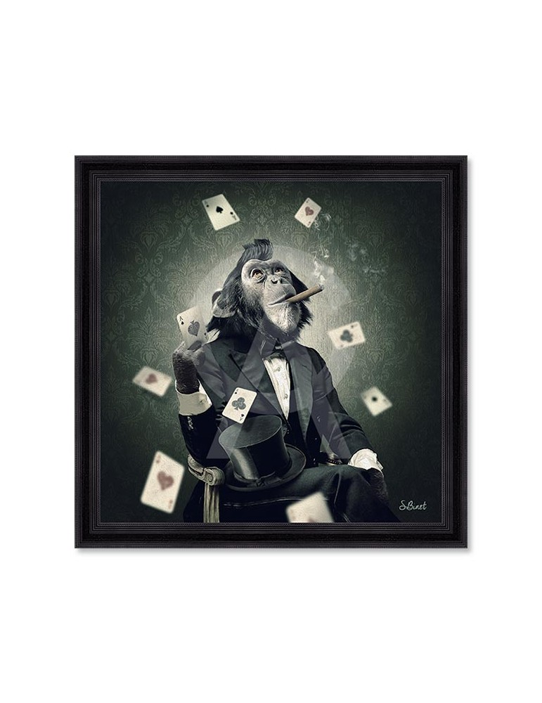 Singe Poker – Sylvain Binet Singe Poker – Sylvain Binet