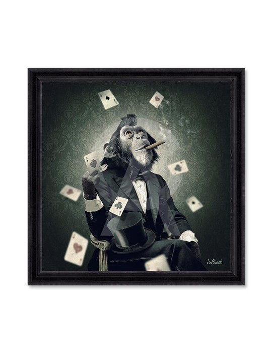 Singe Poker – Sylvain Binet Singe Poker – Sylvain Binet