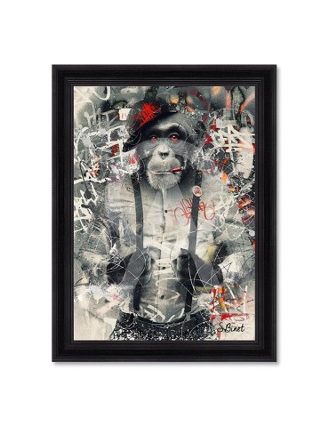 Urban Monkey – Sylvain Binet