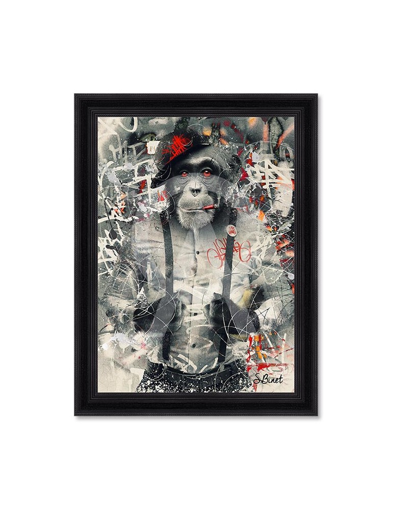 Urban Monkey – Sylvain Binet