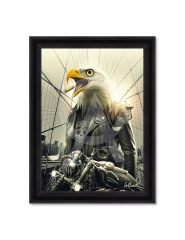 Aigle Moto – Sylvain Binet