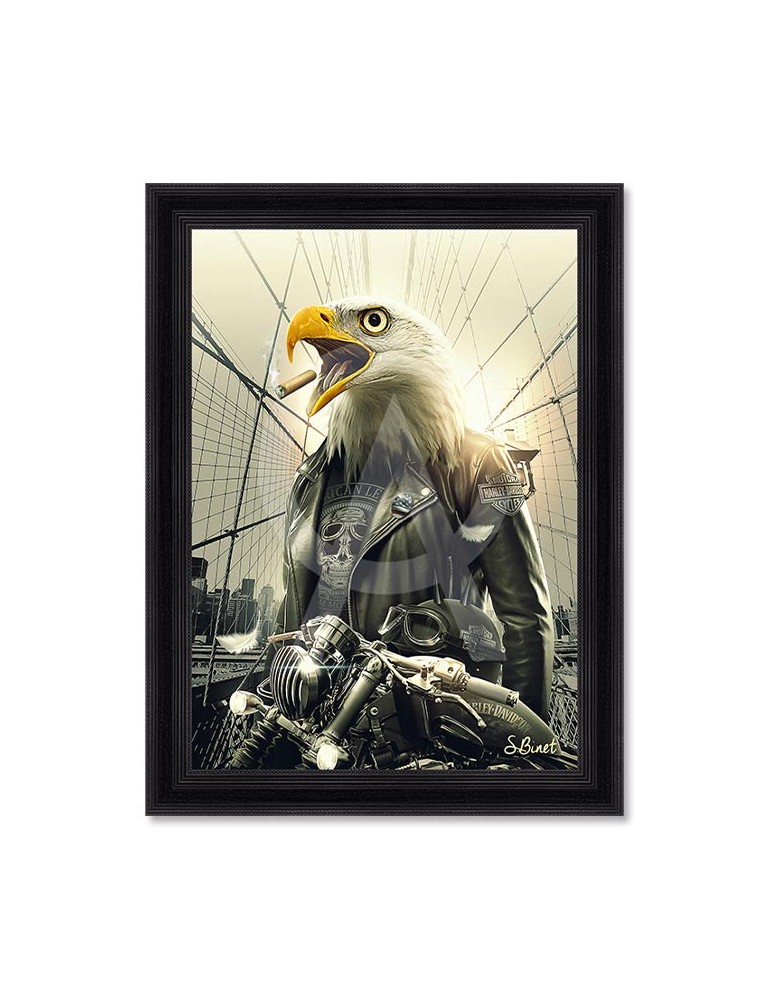 Aigle Moto – Sylvain Binet